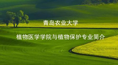 欧洲杯买球官网植物保护专业介绍